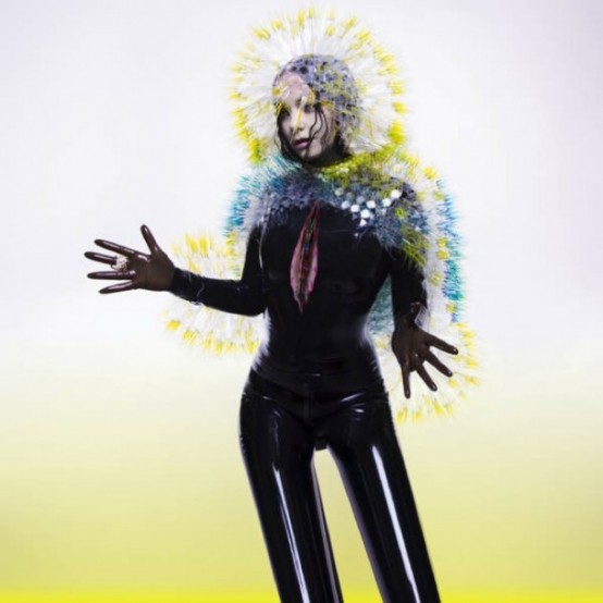 Bjork-Vulnicura-608x608