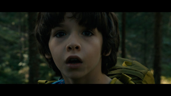 foret-2