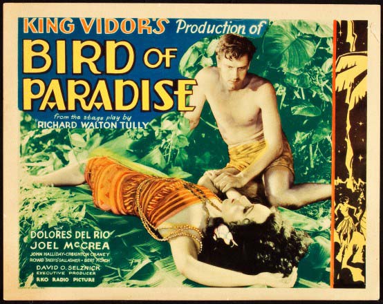 Bird of Paradise - aff 1