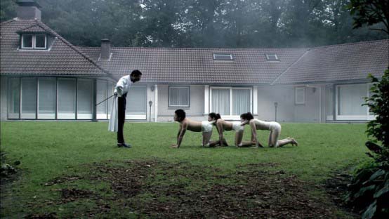 the human centiped