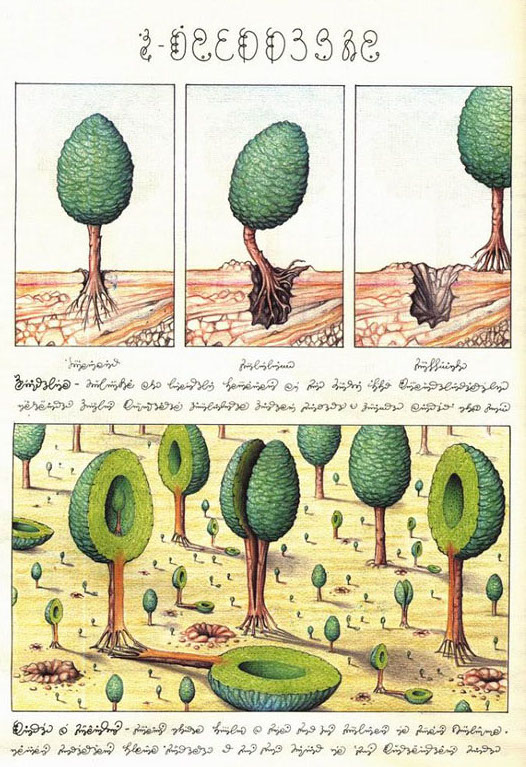 Codex seraphinianus de Luigi Serafini